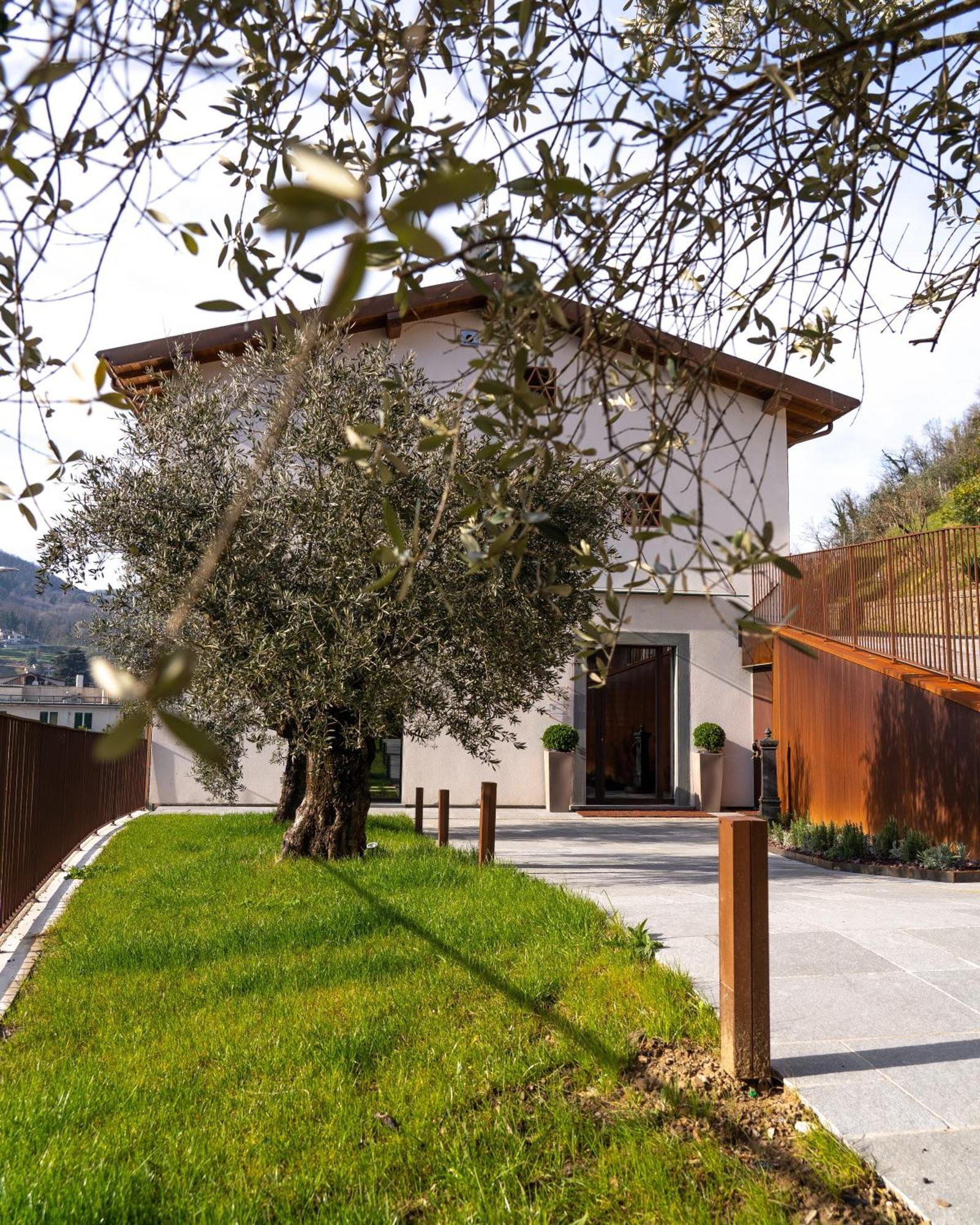 Il Pradicciolo Agriturismo Castelnuovo di Garfagnana Exterior foto